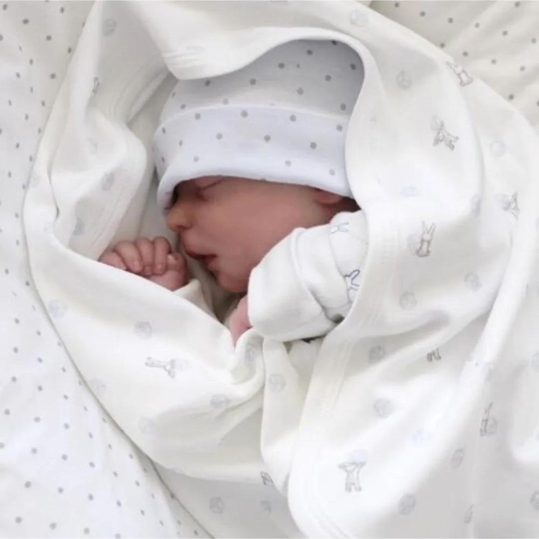 Muñeca Reborn Danda y Maycon