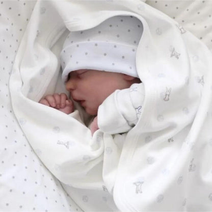 Muñeca Reborn Danda y Maycon
